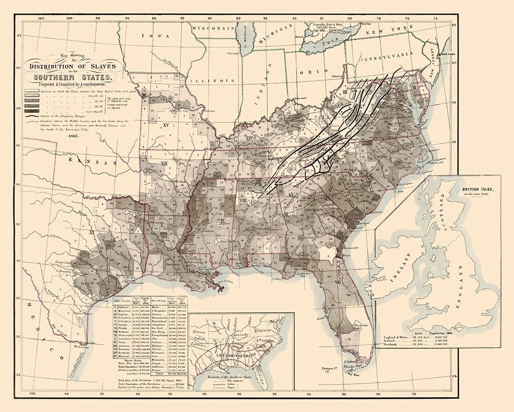 Disributiont of Slaves In the Southern States 1865 art print by Steinwehr for $57.95 CAD