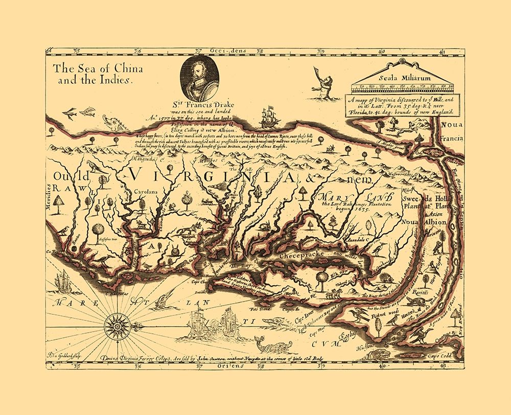 Virginia - Sir Francis Drakes - Hills art print by Hills for $57.95 CAD