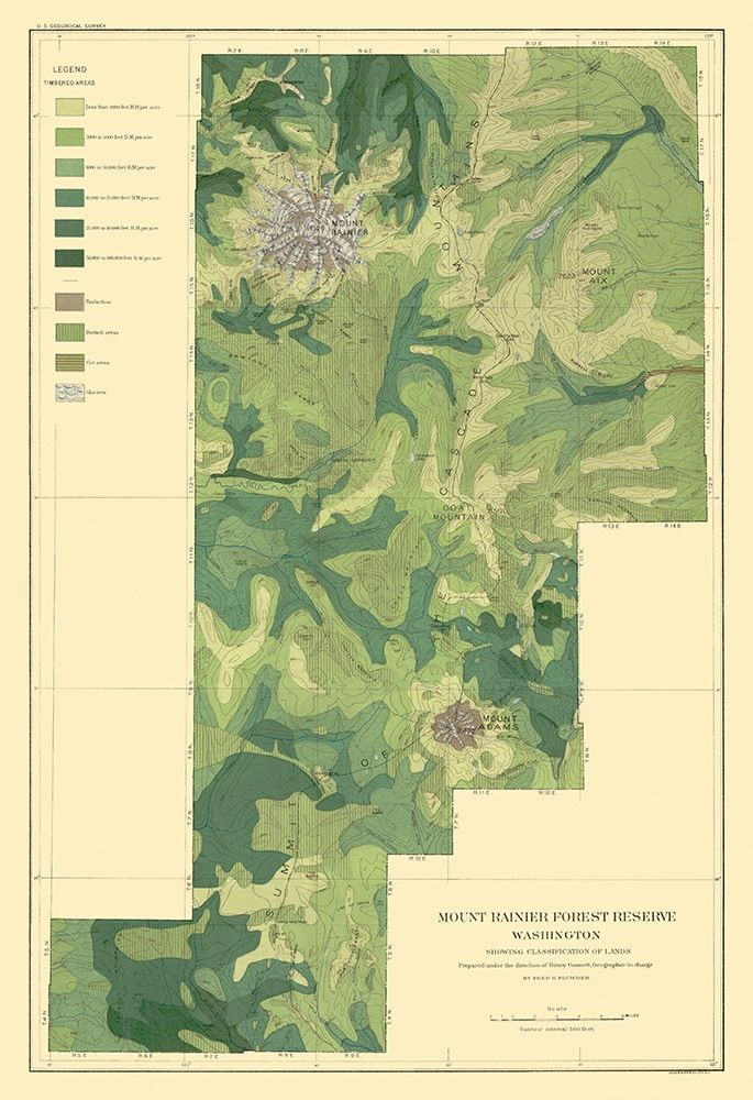 Mount Rainier Forest Washington 1899 art print by Bien for $57.95 CAD