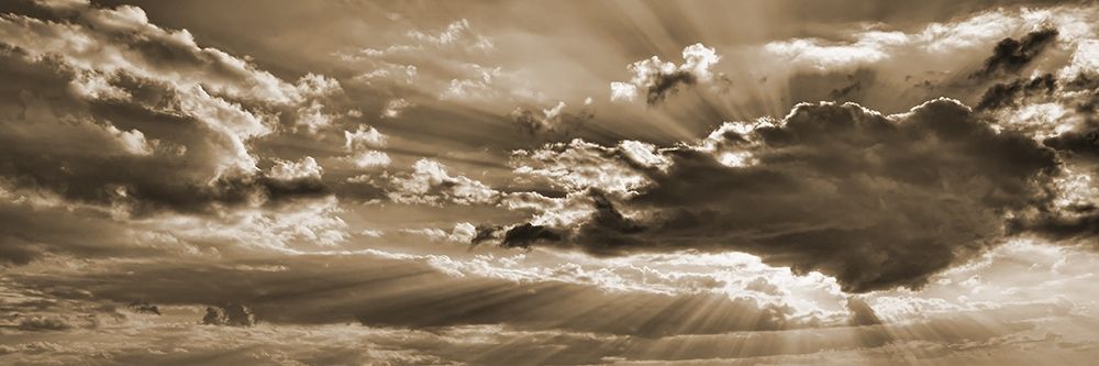 Bronz Sky 2 art print by Jamie Phillip for $57.95 CAD
