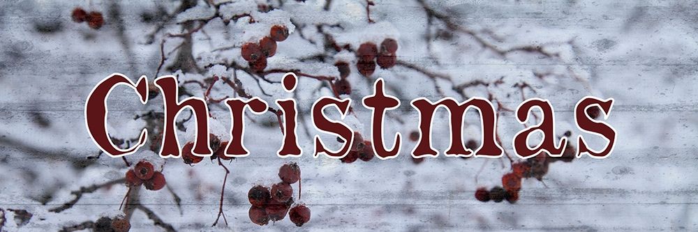 Christmas Snow art print by Jamie Phillip for $57.95 CAD