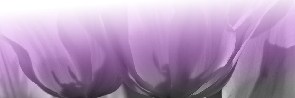 Transparant Lips art print by Jamie Phillip for $57.95 CAD