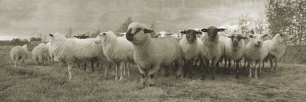 Pasture Graze 2 art print by Jamie Phillip for $57.95 CAD