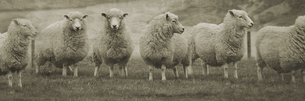 Pasture Graze art print by Jamie Phillip for $57.95 CAD