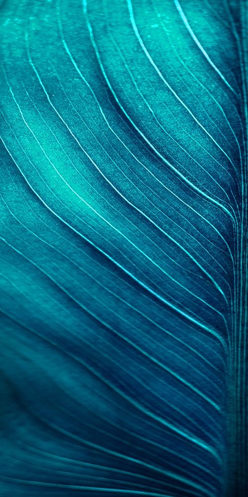 Green Tropics art print by Jamie Phillip for $57.95 CAD