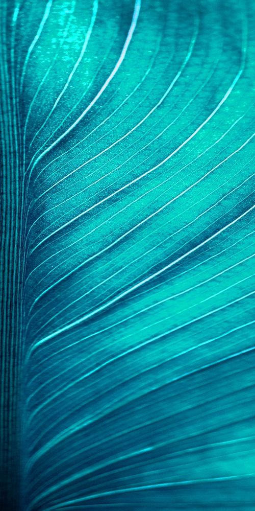 Green Tropics 2 art print by Jamie Phillip for $57.95 CAD