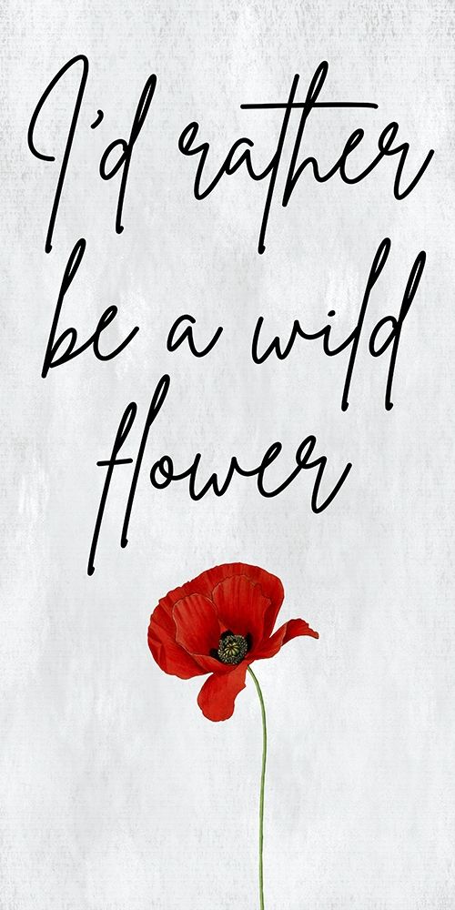 Wild Flower art print by Jamie Phillip for $57.95 CAD