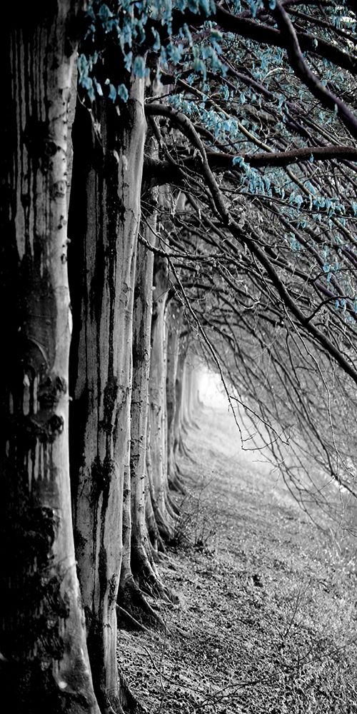 BW Blue pop art print by Jamie Phillip for $57.95 CAD