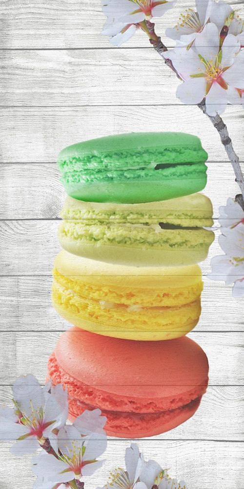Macaron 1 art print by Jamie Phillip for $57.95 CAD