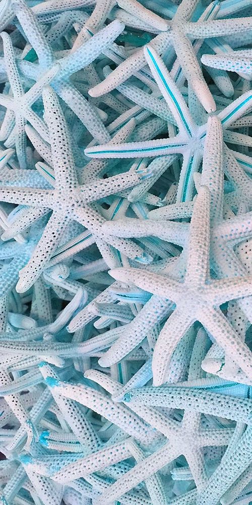 Beach Star 1 art print by Jamie Phillip for $57.95 CAD
