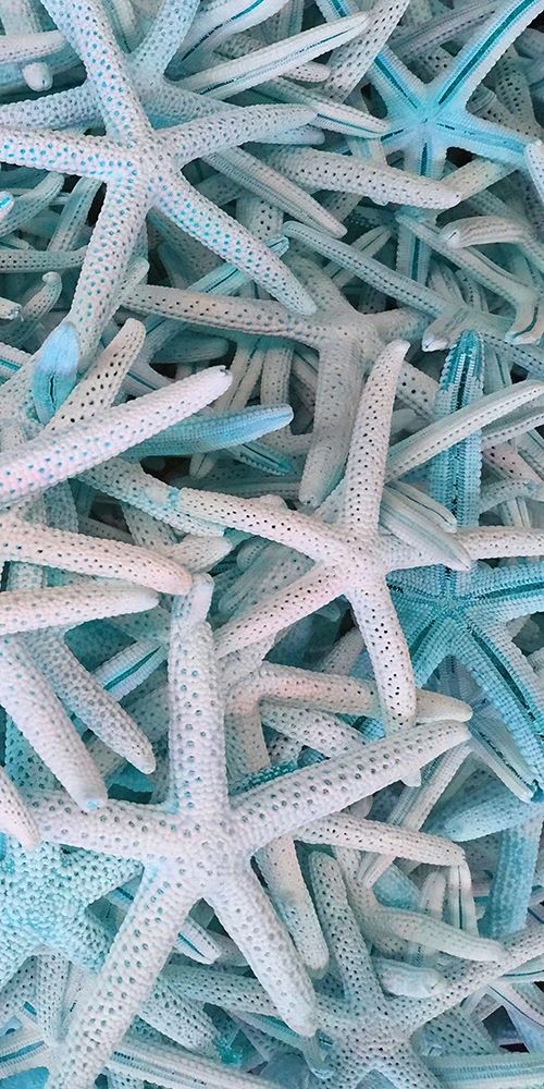 Beach Star art print by Jamie Phillip for $57.95 CAD