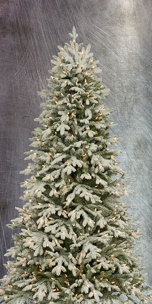 Christmas Tree art print by Jamie Phillip for $57.95 CAD