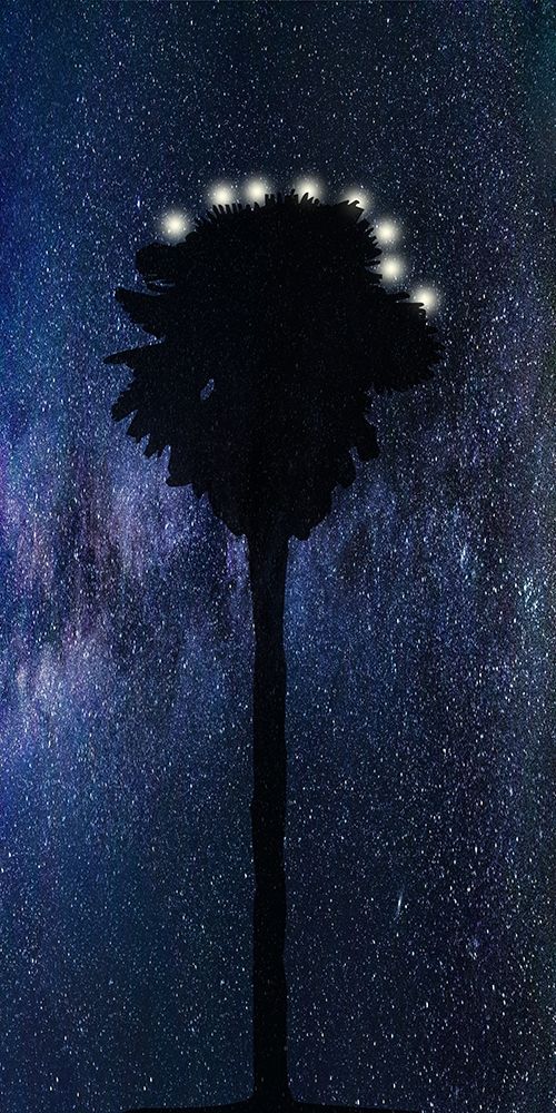 Night Star art print by Jamie Phillip for $57.95 CAD