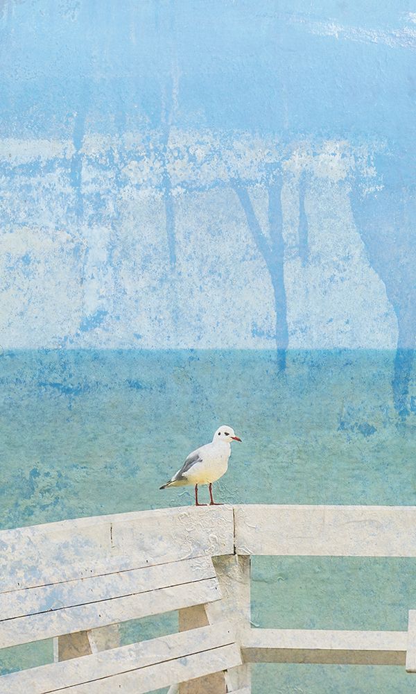 Bird Bay art print by Jamie Phillip for $57.95 CAD