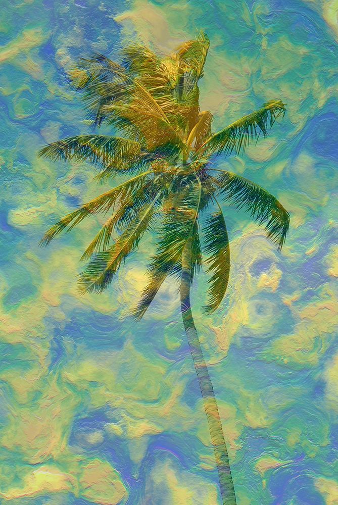 Cocoa Palm art print by Jamie Phillip for $57.95 CAD