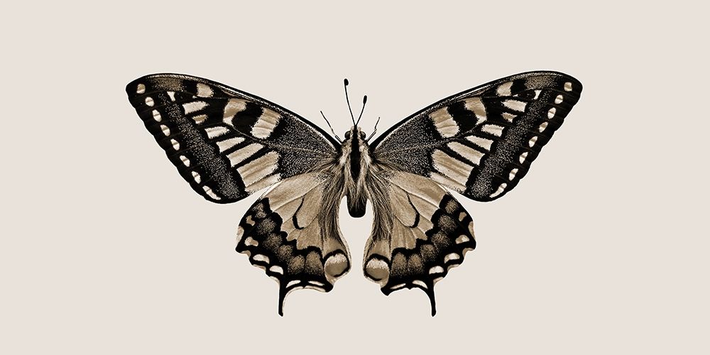 Fly With Me art print by Jamie Phillip for $57.95 CAD