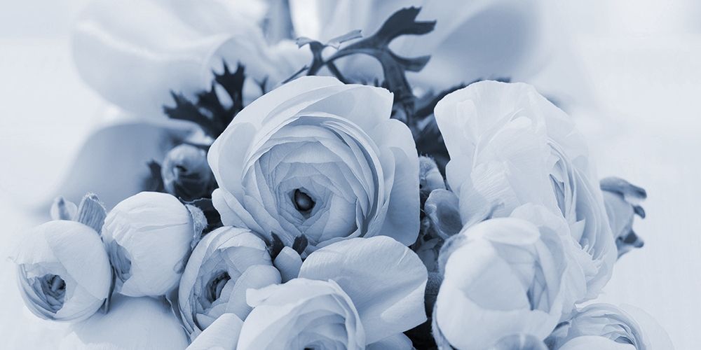 Blue Rose Garden art print by Jamie Phillip for $57.95 CAD