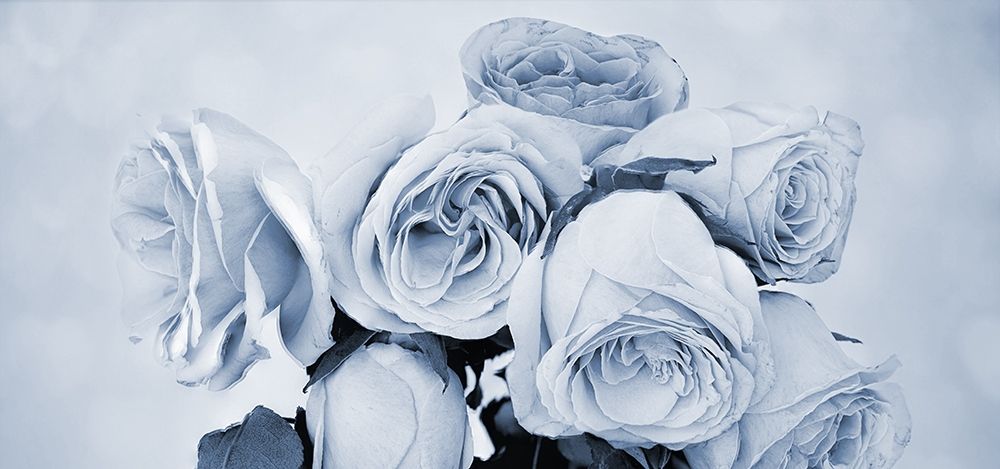 Soft Blue Rose Garden art print by Jamie Phillip for $57.95 CAD