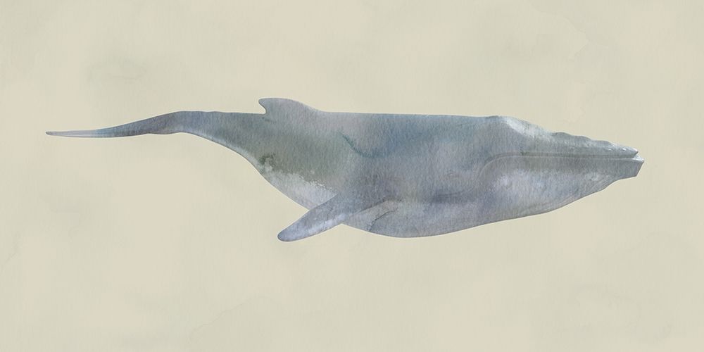 Whale Whale Whale ! art print by Jamie Phillip for $57.95 CAD