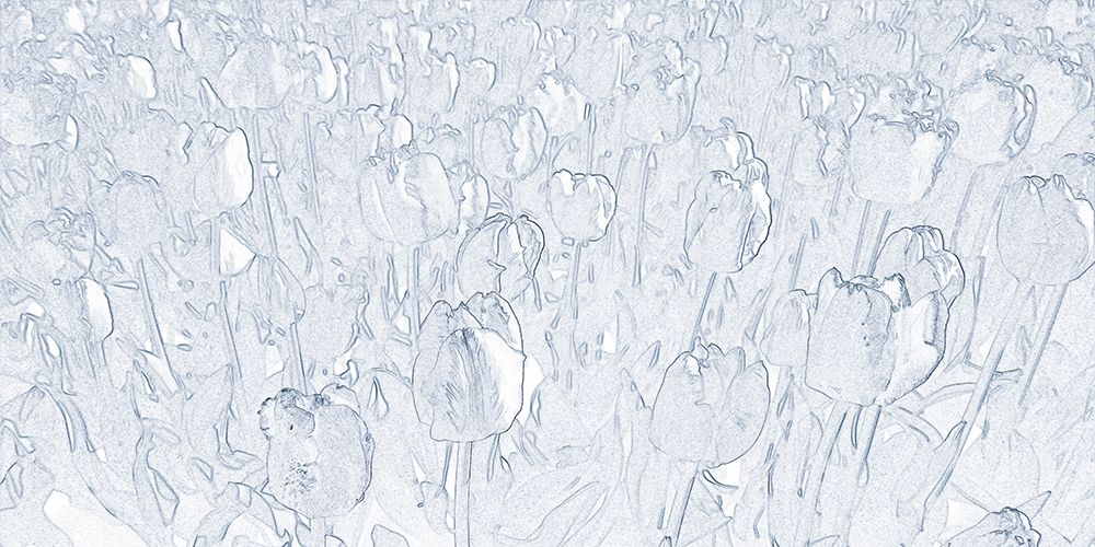 Twilight Tulip art print by Jamie Phillip for $57.95 CAD