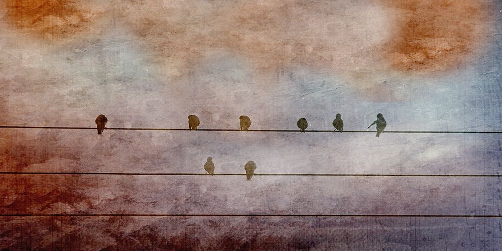 BIrd Watching 2 art print by Jamie Phillip for $57.95 CAD