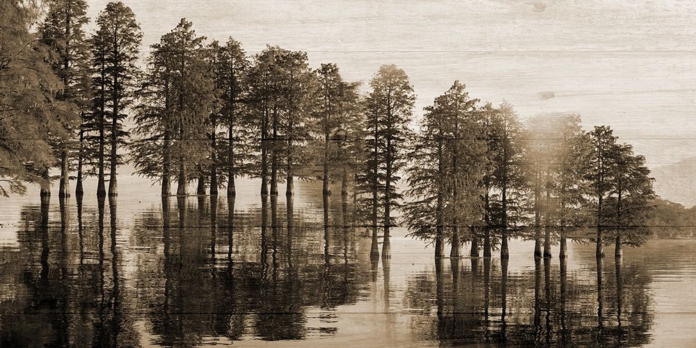 Take Me To The Bayou art print by Jamie Phillip for $57.95 CAD