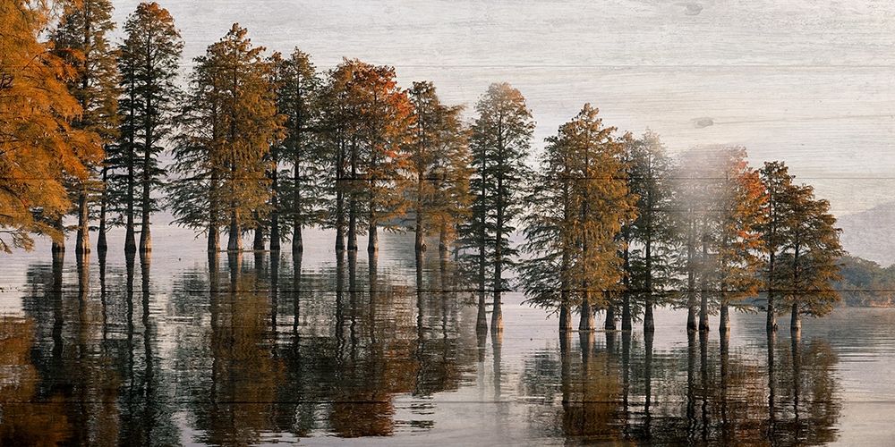 Take Me To The Lake art print by Jamie Phillip for $57.95 CAD
