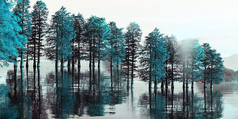 Take Me To The Bayou art print by Jamie Phillip for $57.95 CAD