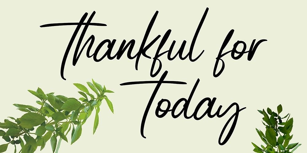 Thankful art print by Jamie Phillip for $57.95 CAD