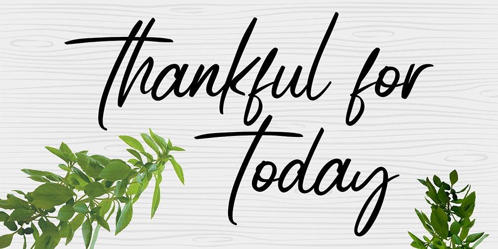 Thankful art print by Jamie Phillip for $57.95 CAD