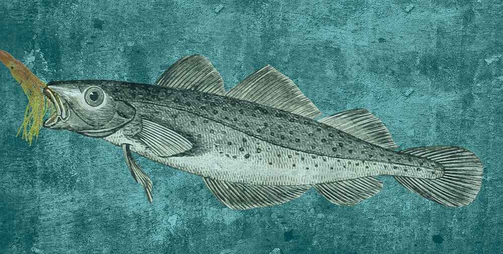 Lake Fish art print by Jamie Phillip for $57.95 CAD