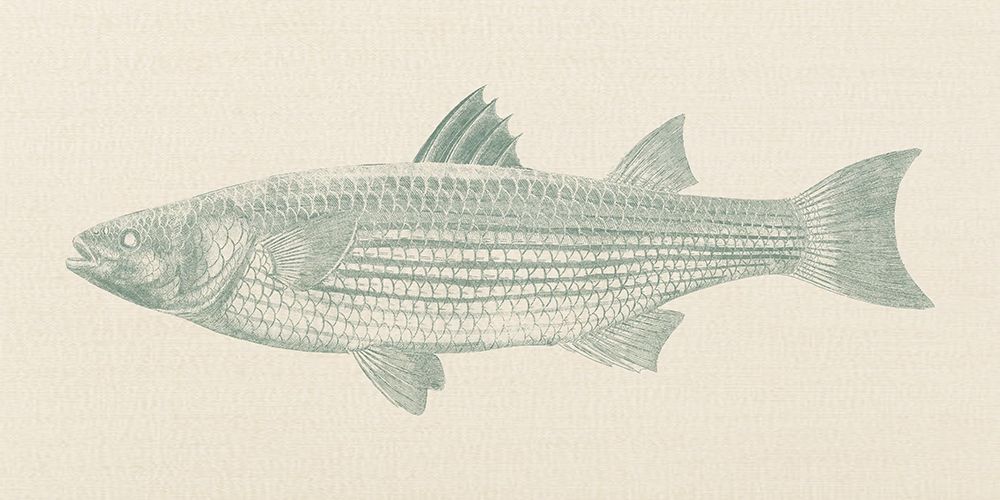 FIshing Day 2 art print by Jamie Phillip for $57.95 CAD