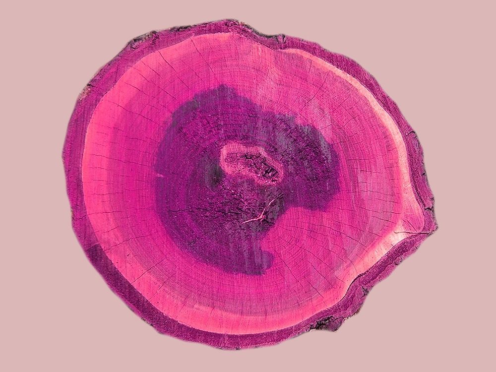 Wood Rings 4 art print by Jamie Phillip for $57.95 CAD