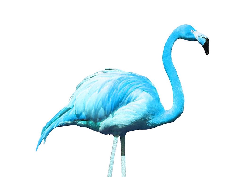 Flame Blue art print by Jamie Phillip for $57.95 CAD