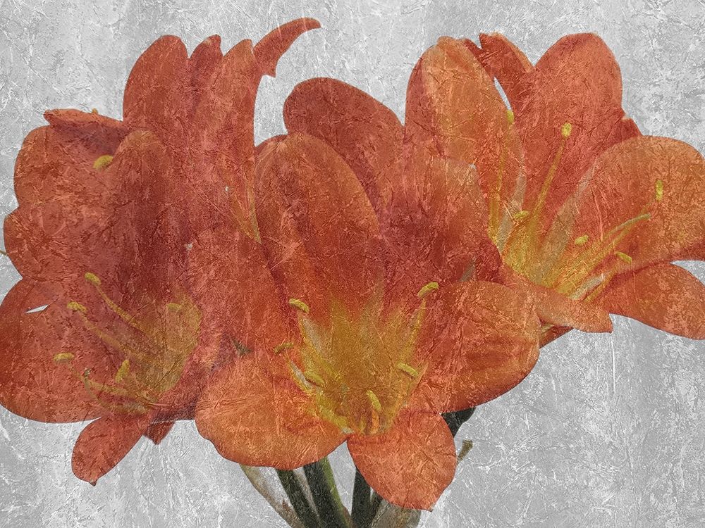 Oranger In The Garden art print by Jamie Phillip for $57.95 CAD