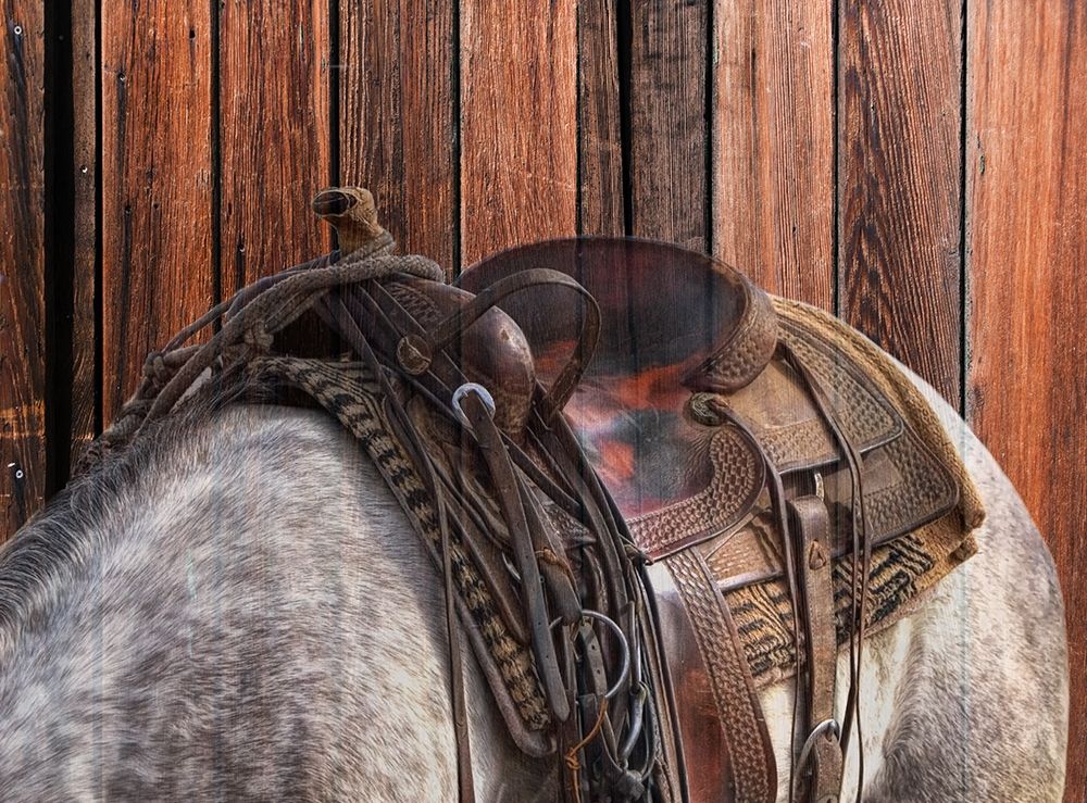 Horse On The Ranch art print by Jamie Phillip for $57.95 CAD
