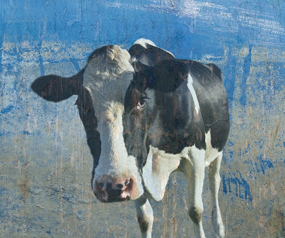 The Cow 2 art print by Jamie Phillip for $57.95 CAD