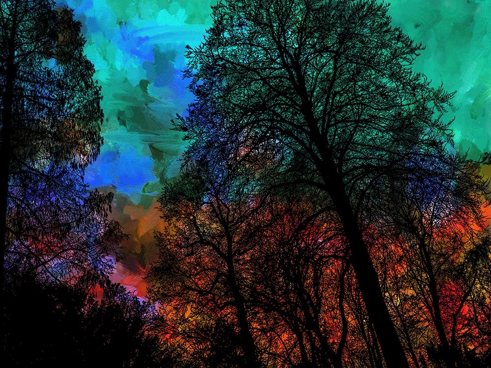 Trees art print by Jamie Phillip for $57.95 CAD