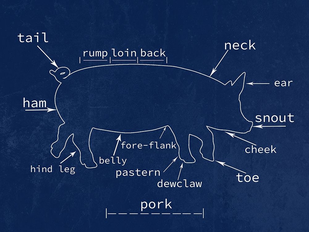 Pork art print by Jamie Phillip for $57.95 CAD