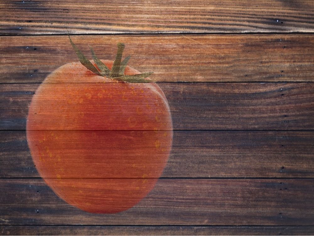 Tomato art print by Jamie Phillip for $57.95 CAD