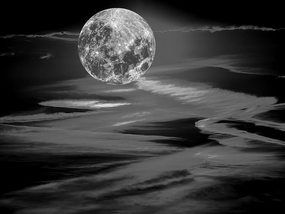 Black Moonlight art print by Jamie Phillip for $57.95 CAD