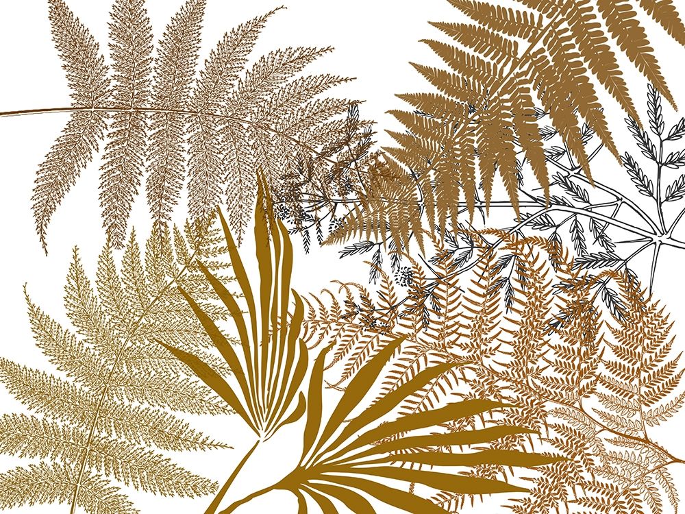Foilage art print by Jamie Phillip for $57.95 CAD