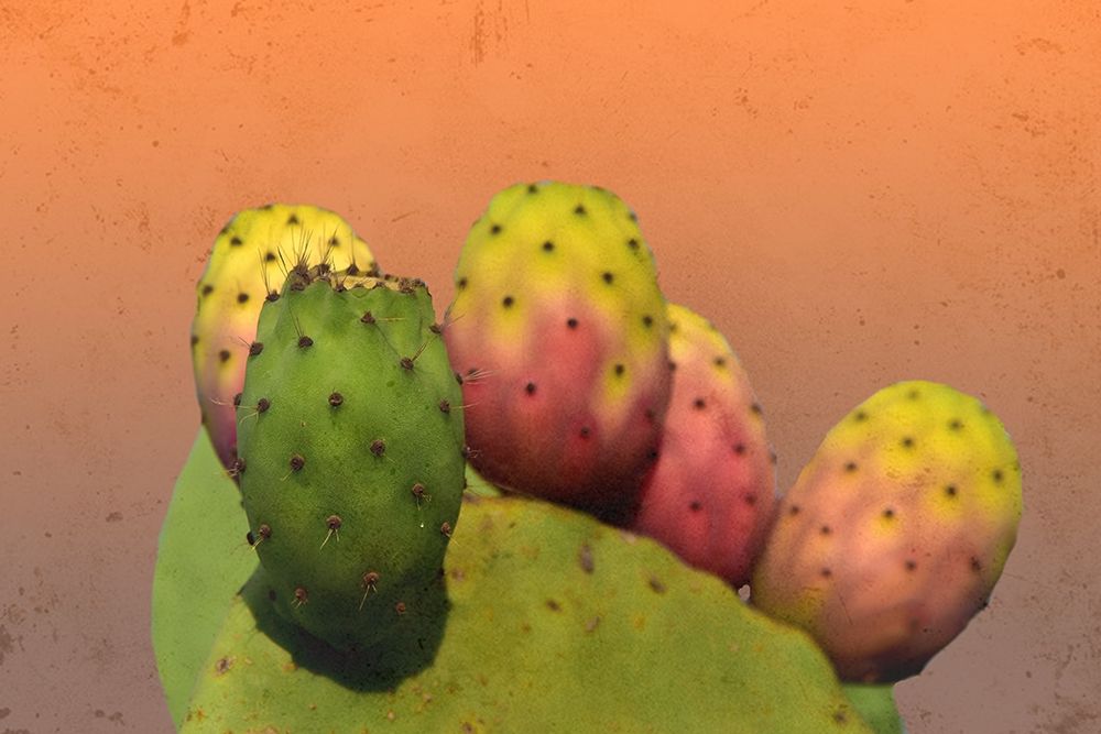 Summer Desert art print by Jamie Phillip for $57.95 CAD