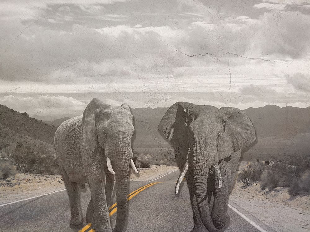 Road Stars art print by Jamie Phillip for $57.95 CAD