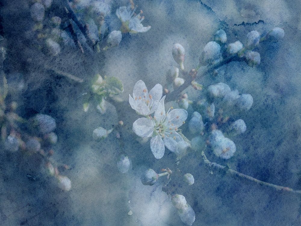 Watercolor Flowers art print by Jamie Phillip for $57.95 CAD
