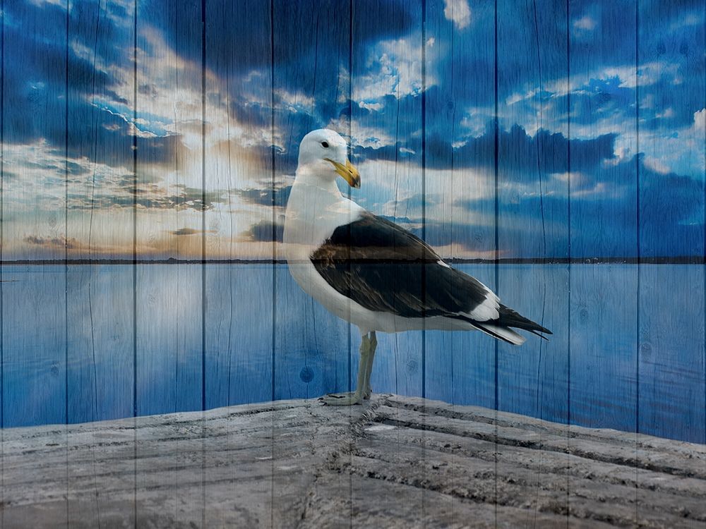 Ocean Bird 2 art print by Jamie Phillip for $57.95 CAD