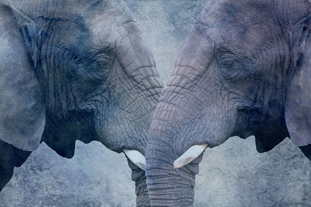 Elephant Love art print by Jamie Phillip for $57.95 CAD