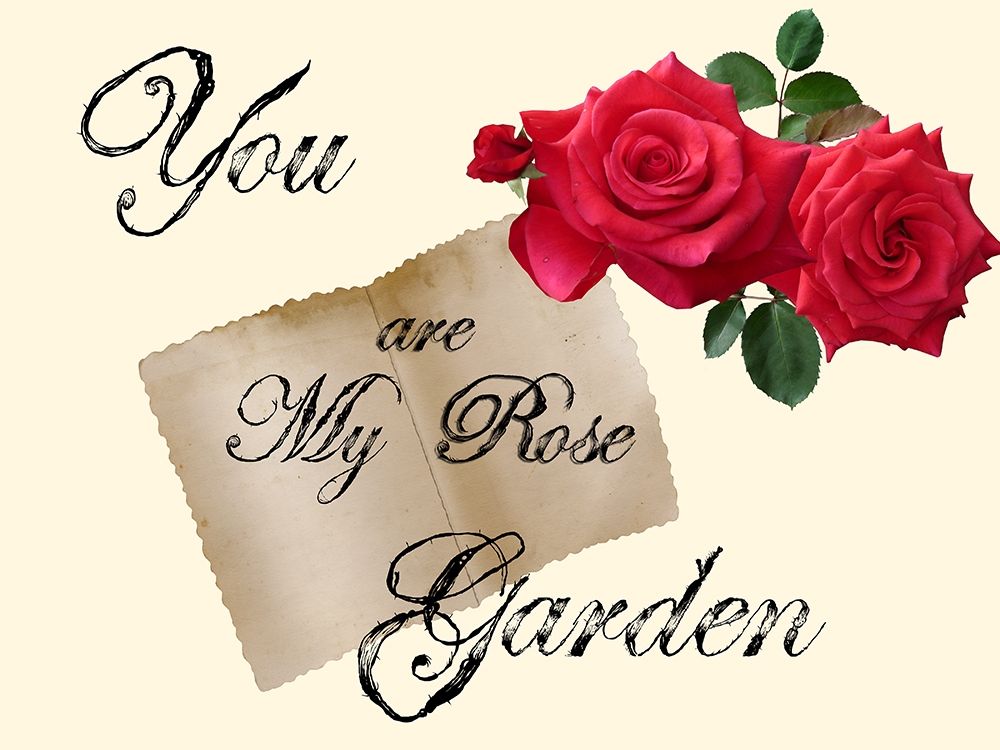 Red Rose art print by Jamie Phillip for $57.95 CAD