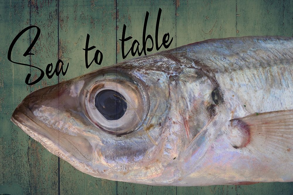 Sea To Table art print by Jamie Phillip for $57.95 CAD