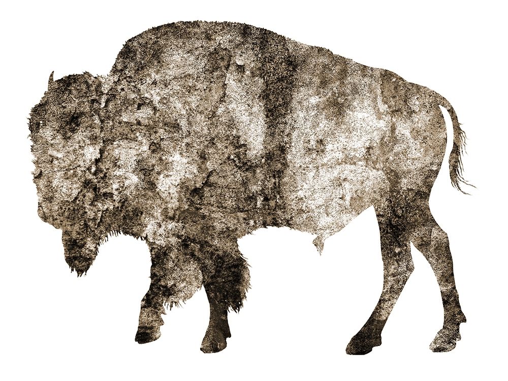Rustic Bison 2 art print by Jamie Phillip for $57.95 CAD
